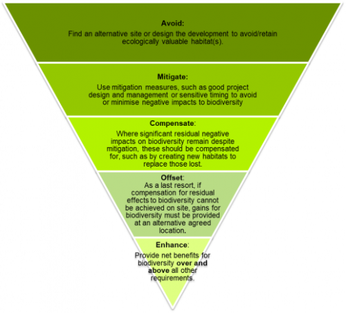 Diagram to show the biodiversity mitigation hierarchy