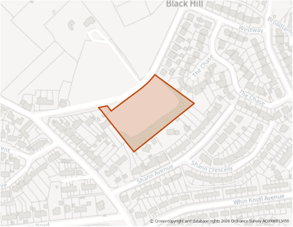 This is a map showing the boundary of housing allocation site H393.