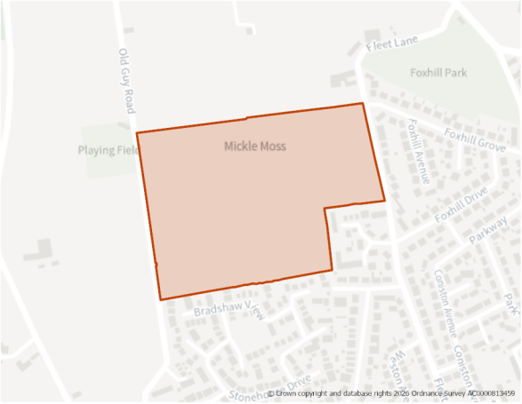 This is a map showing the boundary of housing allocation site H873.