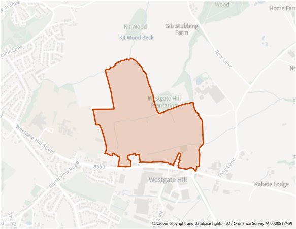 This is a map showing the boundary of housing allocation site H911.